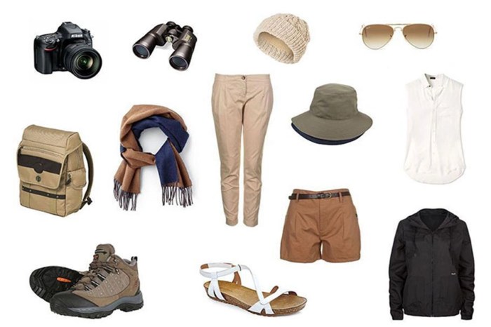 Safari attire for ladies