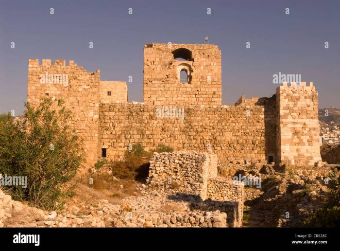 Port city lebanon crusader fortress