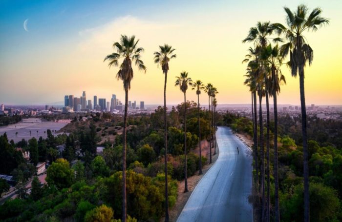 Once in a lifetime things to do in los angeles