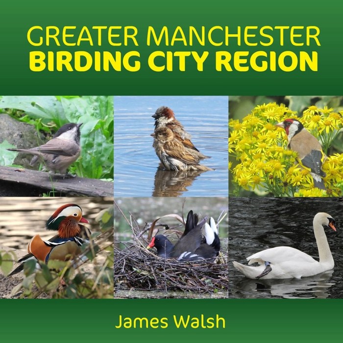 Manchester birding