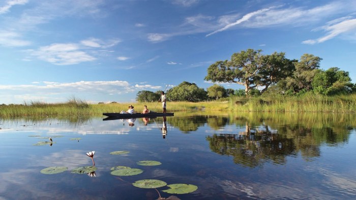 Okavango swamps accommodation
