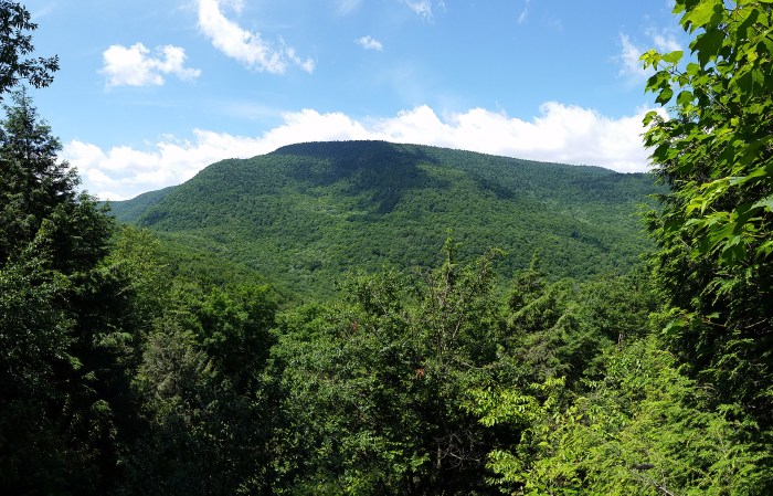 Plateau mountain ny