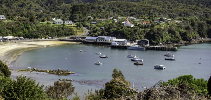 Places to stay stewart island